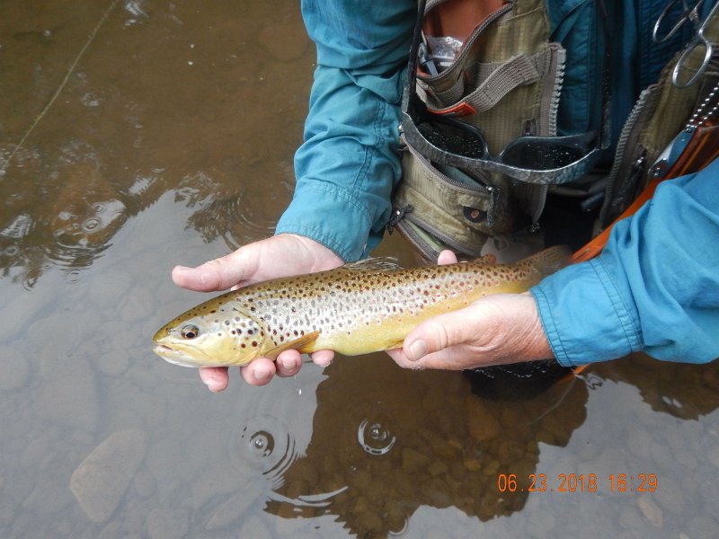 -Kettle Valley-071-.jpg - We both did pretty well today.  But, this was his day to get the big one.